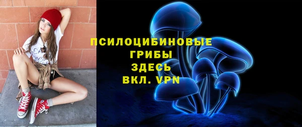 2c-b Липки
