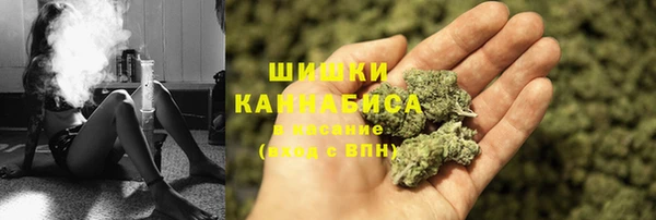 шишки Лиски