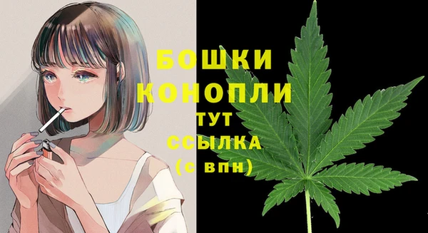шишки Лиски