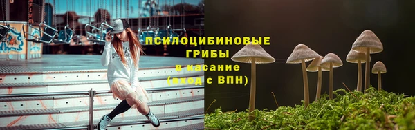 2c-b Липки